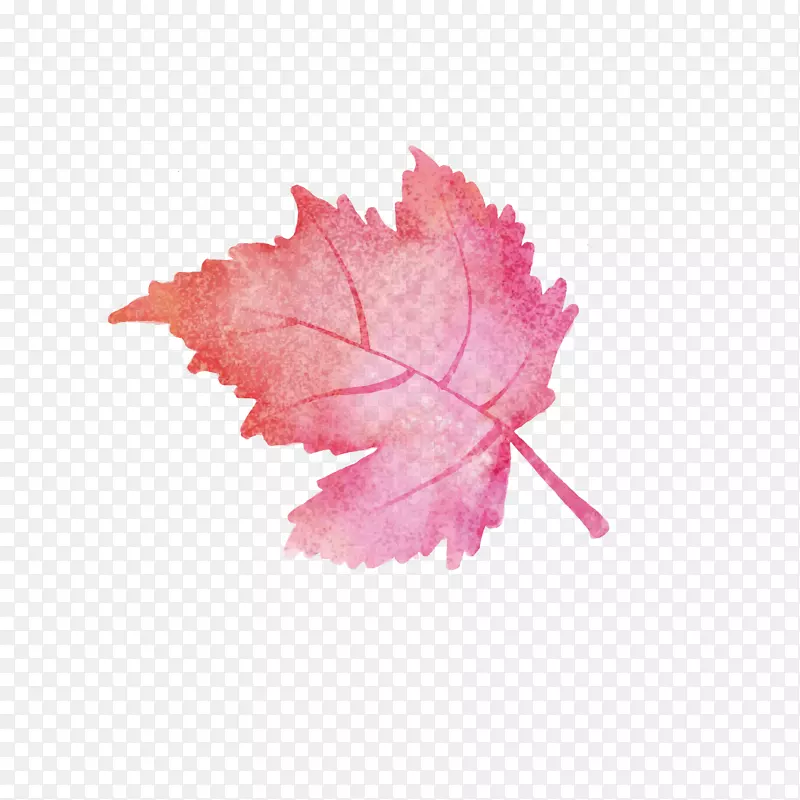 ʸ����ɫ��Ҷ���-������