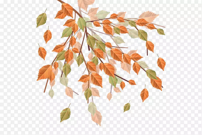 ��Ҷ�������-������