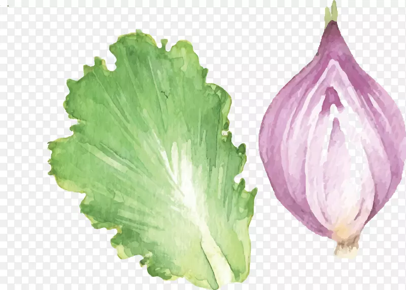 �ֻ�̫�ײ�����߲�-������