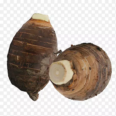 ������ͷ-������