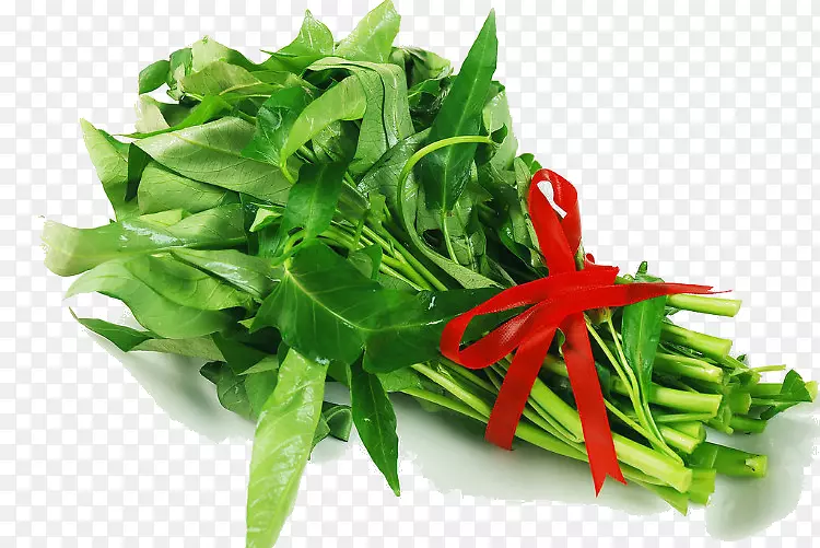 ��õ�һ�����Ĳ�-������