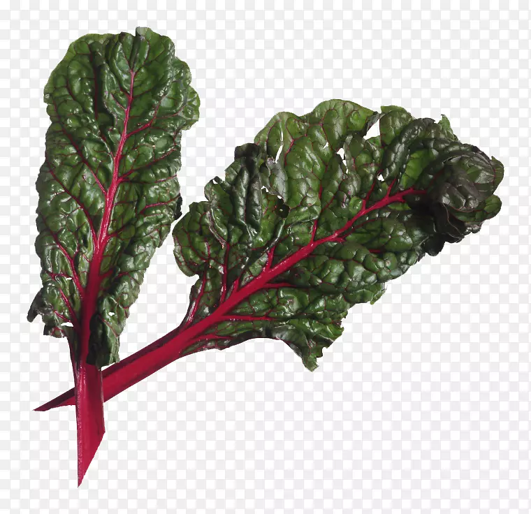 ��Ҷ�߲�-������