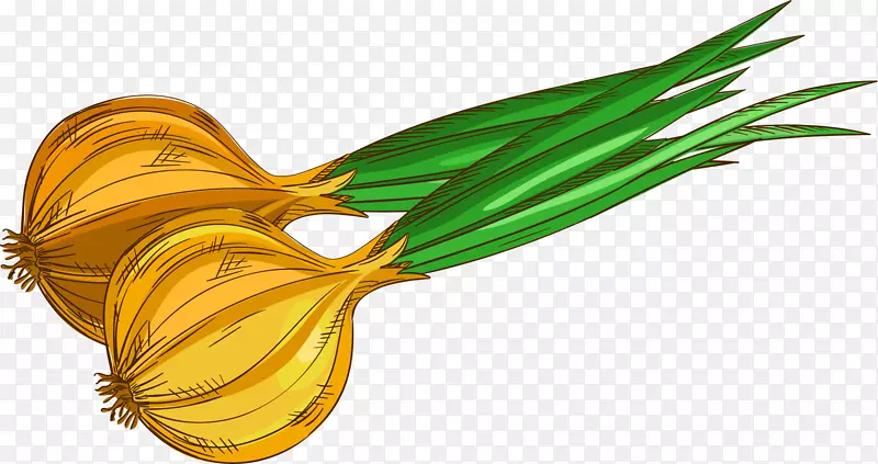 �ֻ濨ͨ�߲������-������