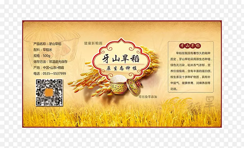 ��ʳ��װ���-������