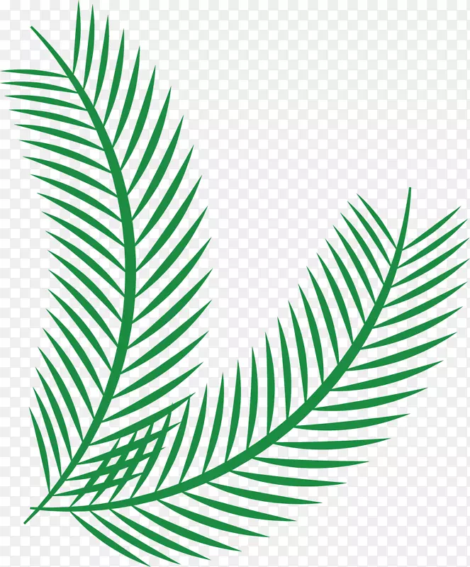 ��ͨ��֦ʸ��ͼ����-������