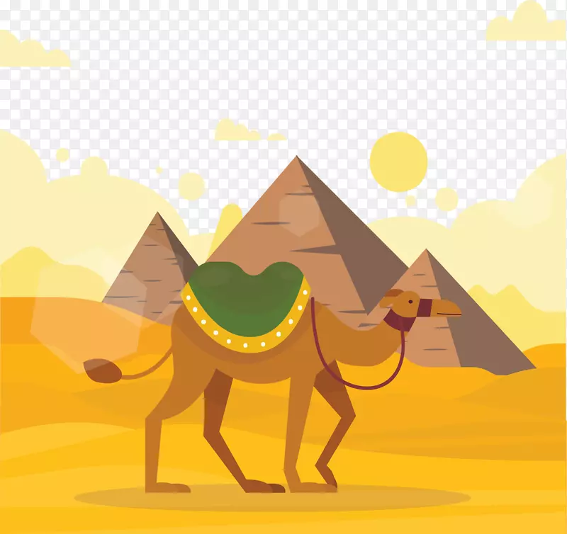 ����ɳĮ����������-������