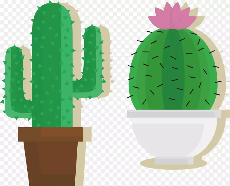 ���˲���ֲ��-������