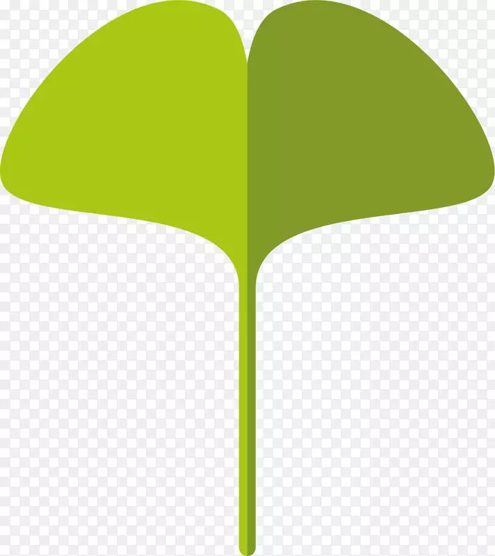 �Գƻ���ʸ����ͨ����Ҷ-������