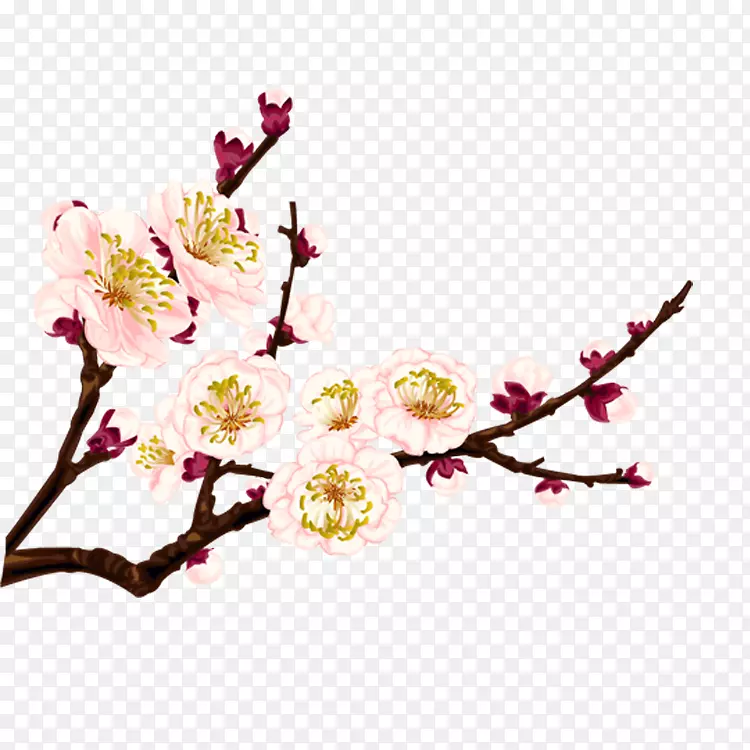 �ֻ�÷��-������