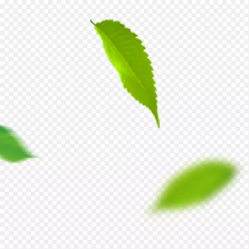 ��ɫ��Ҷpng����ز�-������