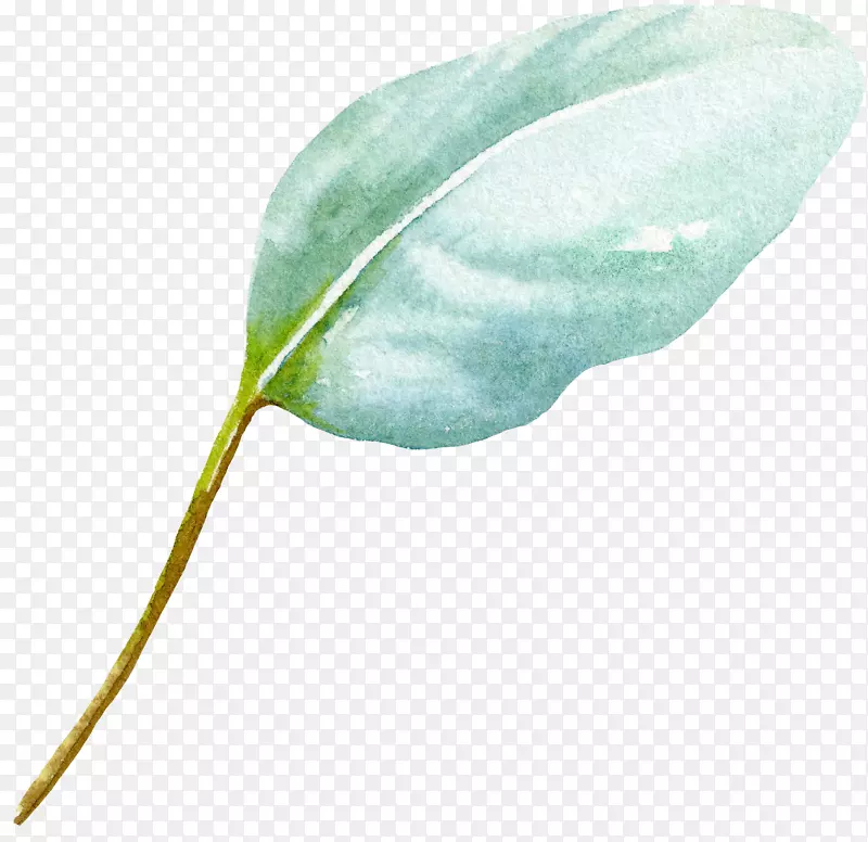 ˮ��Ҷ��-������