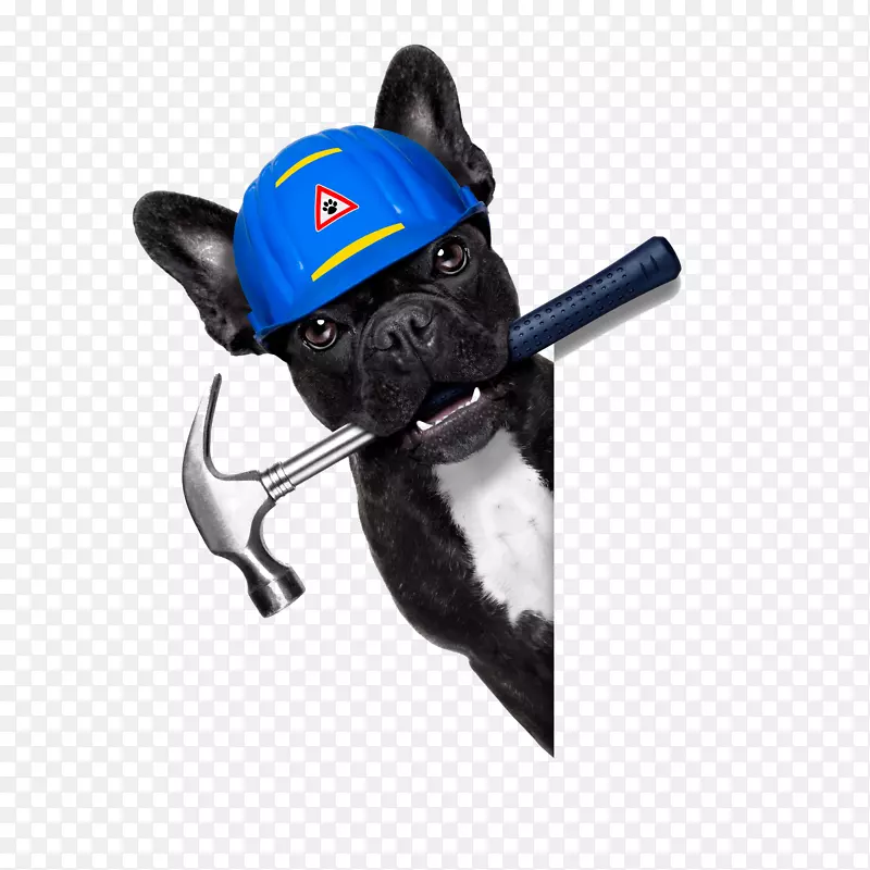 ����С�����˻��������-������