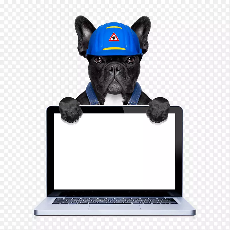 ����С�����˻��������-������