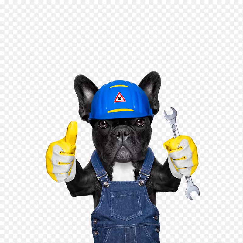 ����С�����˻��������-������