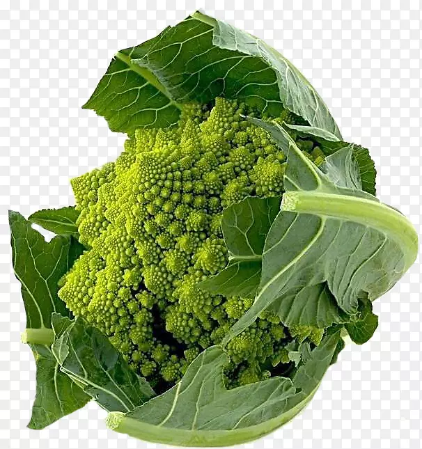 �óԵ��߲˲˻�-������