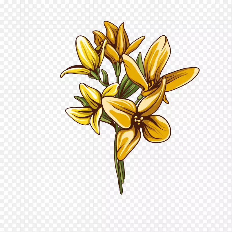 �ƻ���ʸ��ͼ�������-������