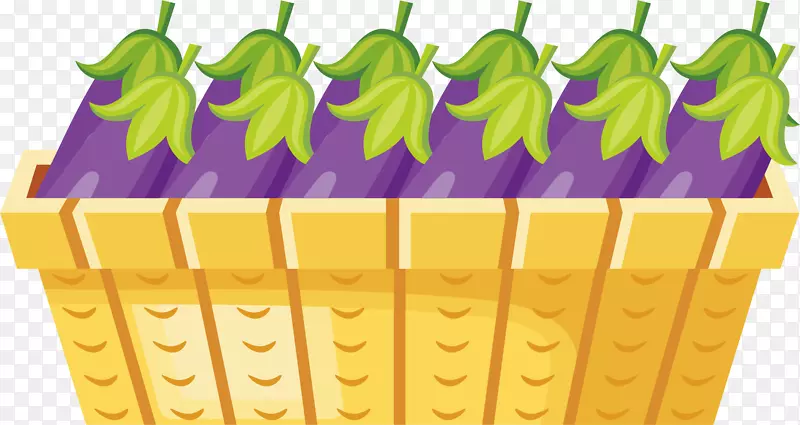 ��ͨ�����߲˿�����ز�-������