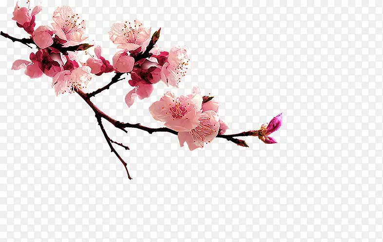 �һ�-������