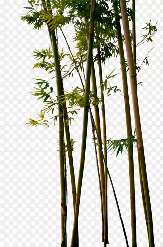 �����ز�-������