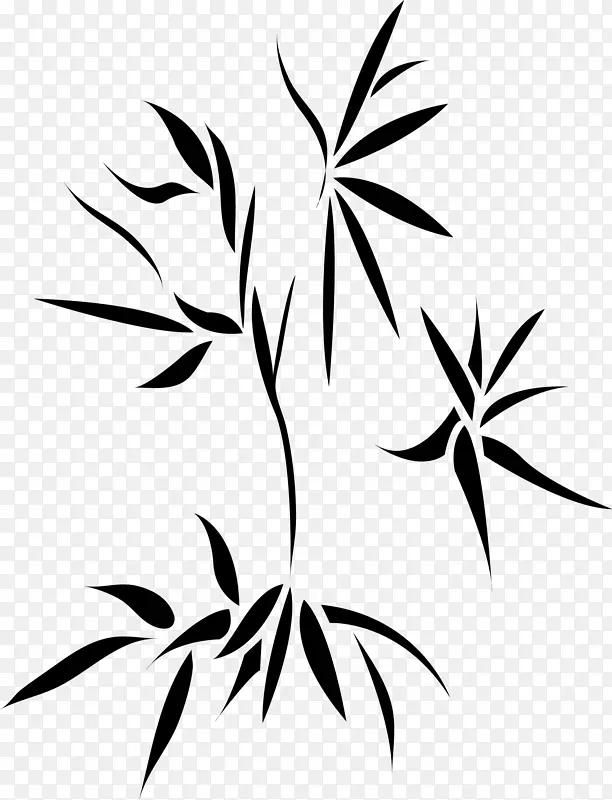 ��ͨ����-������