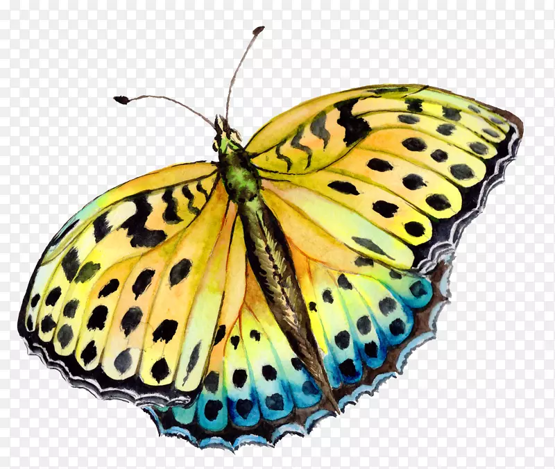 ��ͨ�ɰ�С����װ����ƶ���ͷ��-������