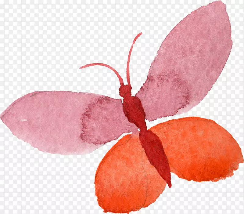 ��ͨ�ɰ�С����װ����ƶ���ͷ��-������