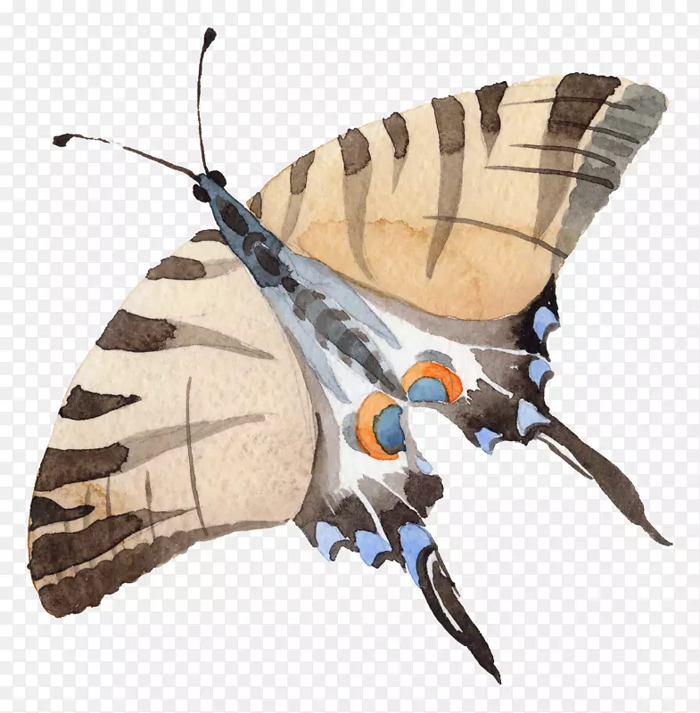 ��ͨ�ɰ�С����װ����ƶ���ͷ��-������