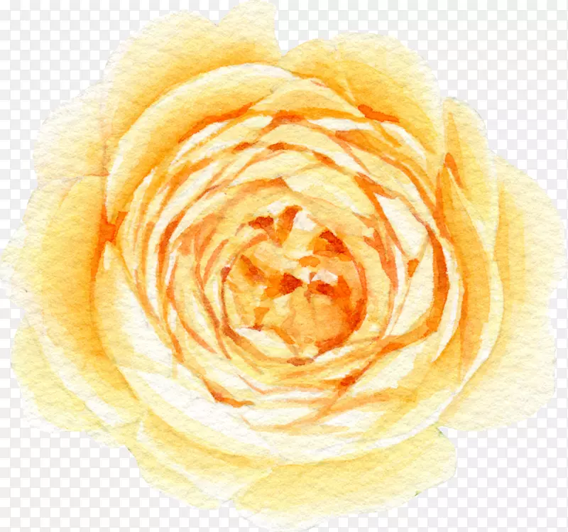 ˮ�ʻ�ɫ���� õ�廨-������