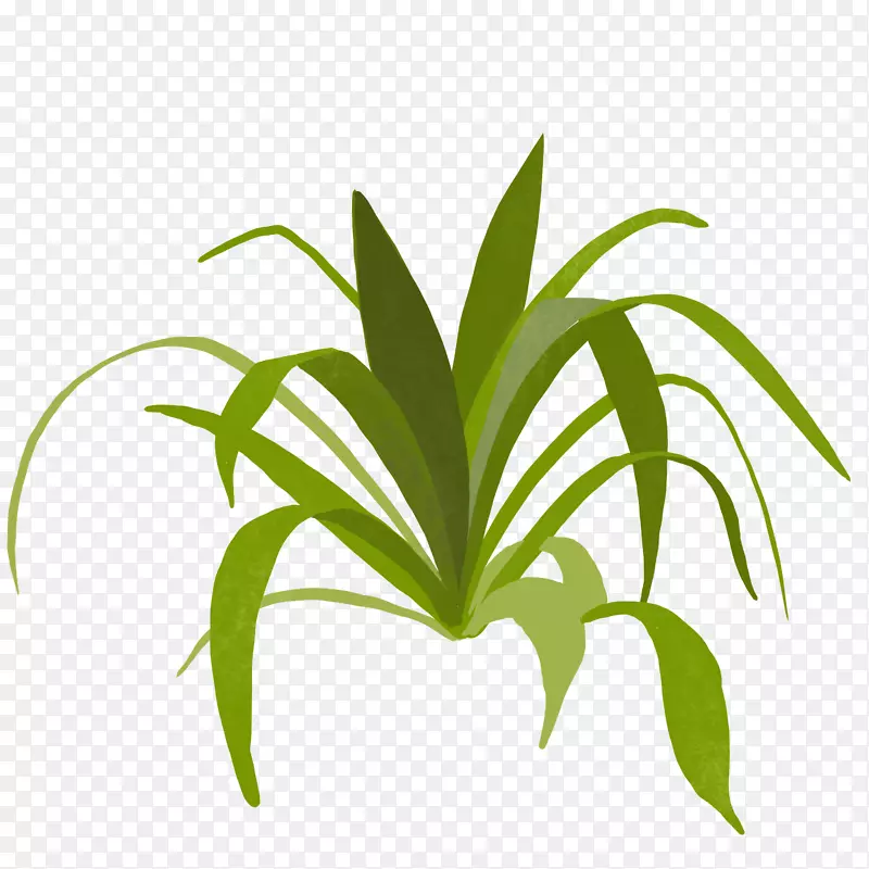 С���²廭�����ƿ�ͨ����-������