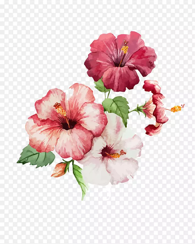 �ֻ�ˮ�ʷ�ɫ����-������