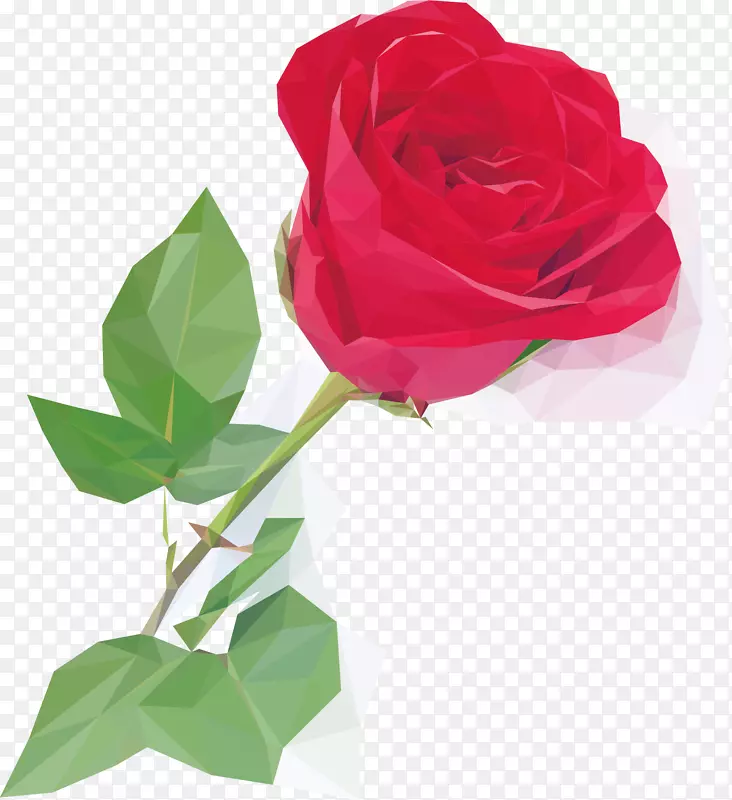 ˮ��õ�廨ʸ��-������