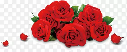 ����õ�廨-������