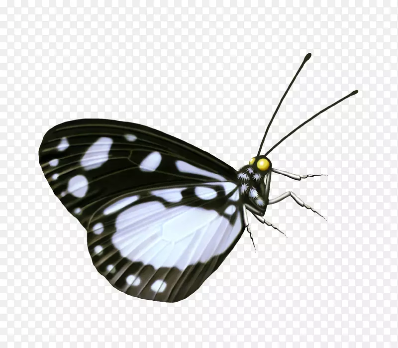 ����-������