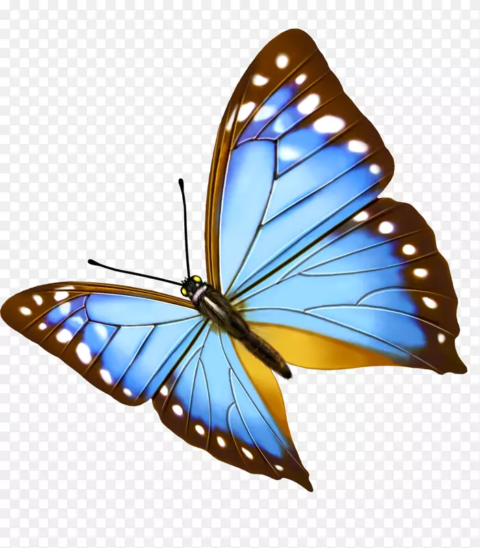 ����-������