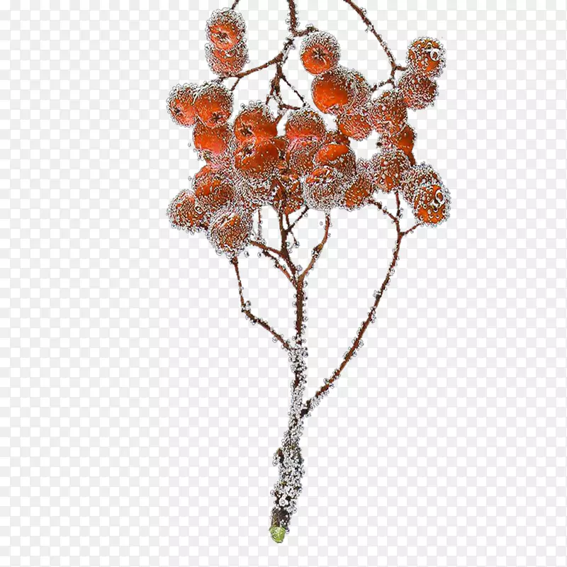 ˪������ɽ髹���֦װ������-������