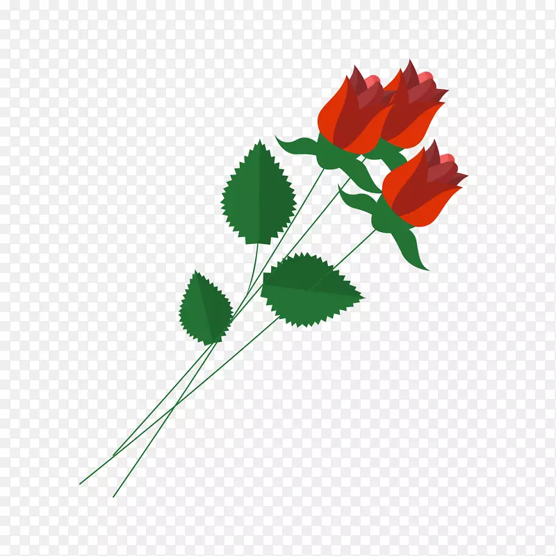 ��ƽ��õ�廨ֲ�����-������