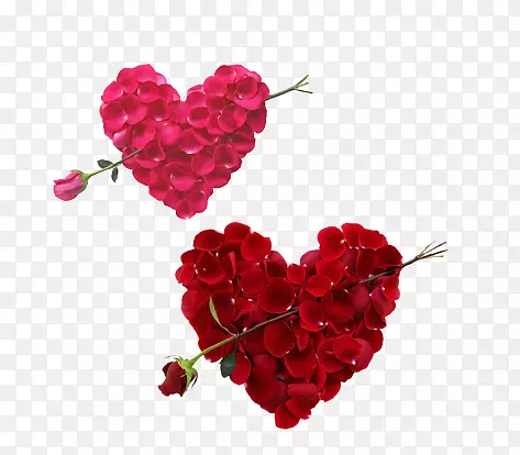 ����õ�廨-������