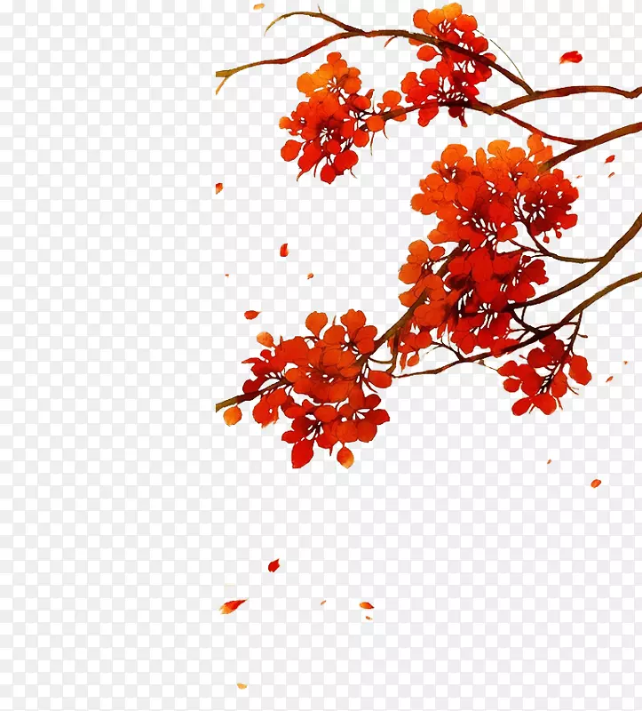 ��ɫ����֦-������