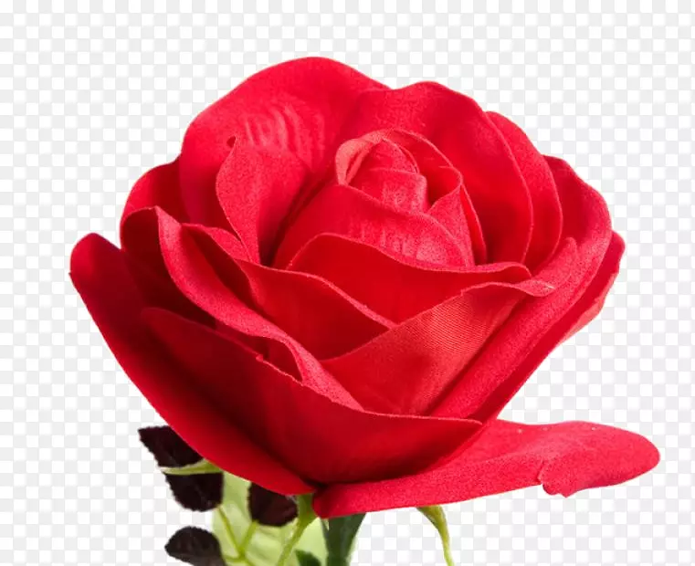 ��Ʒʵ���ɫõ��-������