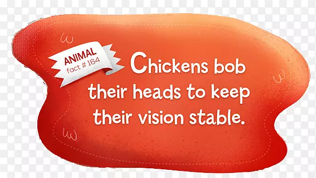 ������ͼ���ز�-������