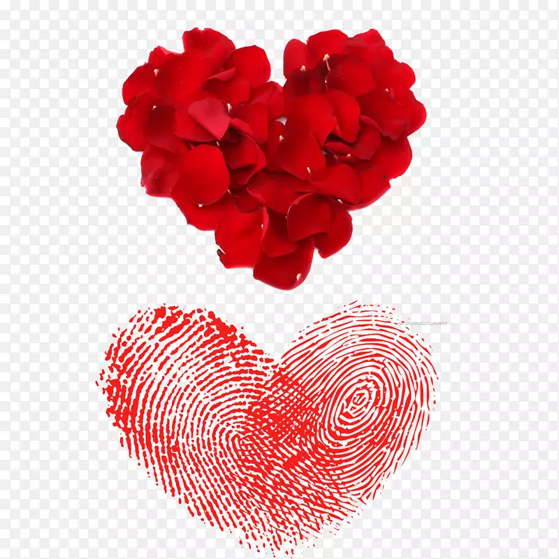 õ�廨Ƭ���Ŀ�-������