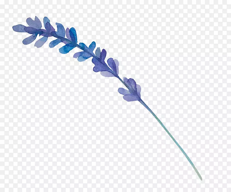 ��ɫˮ�ʻ���-������