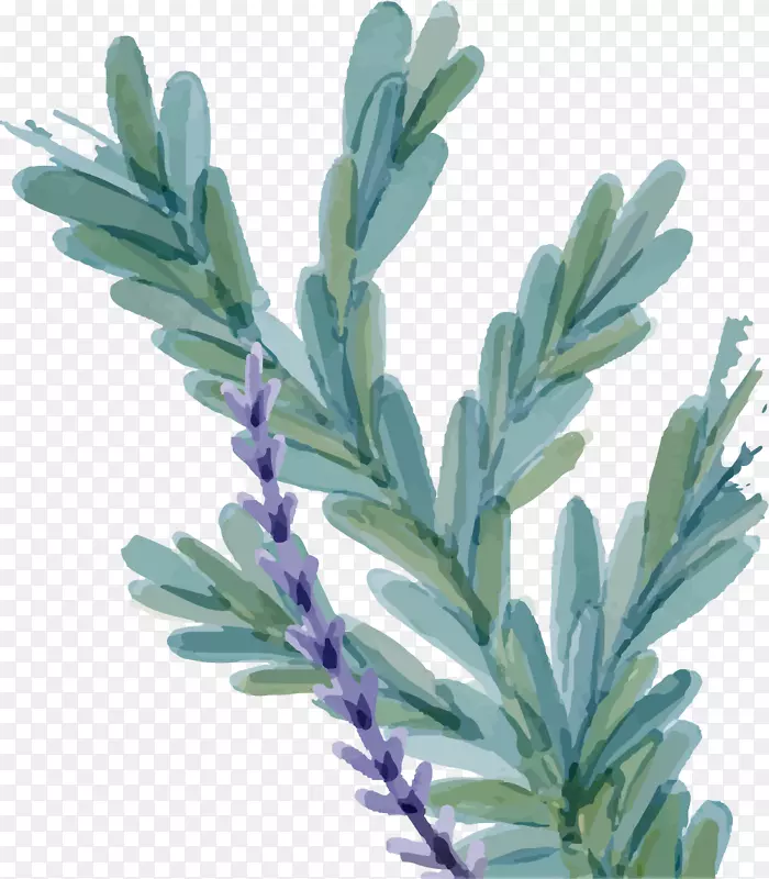 �ݱ�ʸ����Ҷֲ��-������