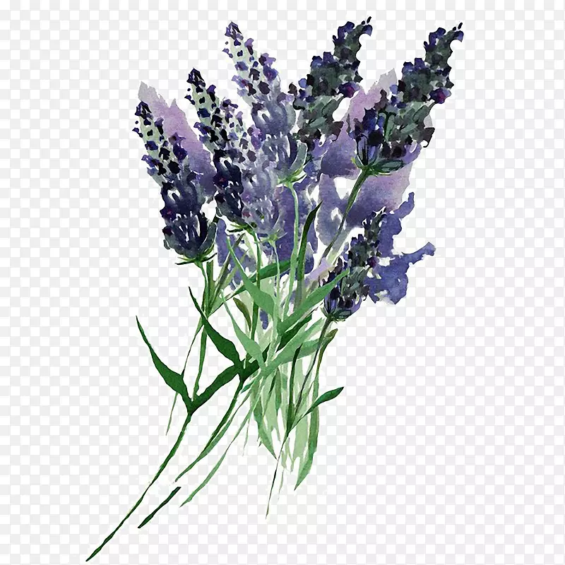 �ֻ�޹�²�����ز�-������