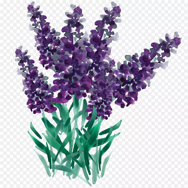 �ֻ�޹�²��ز�-������