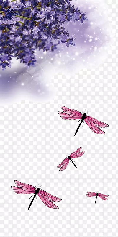 ޹�²��������ز�����-������