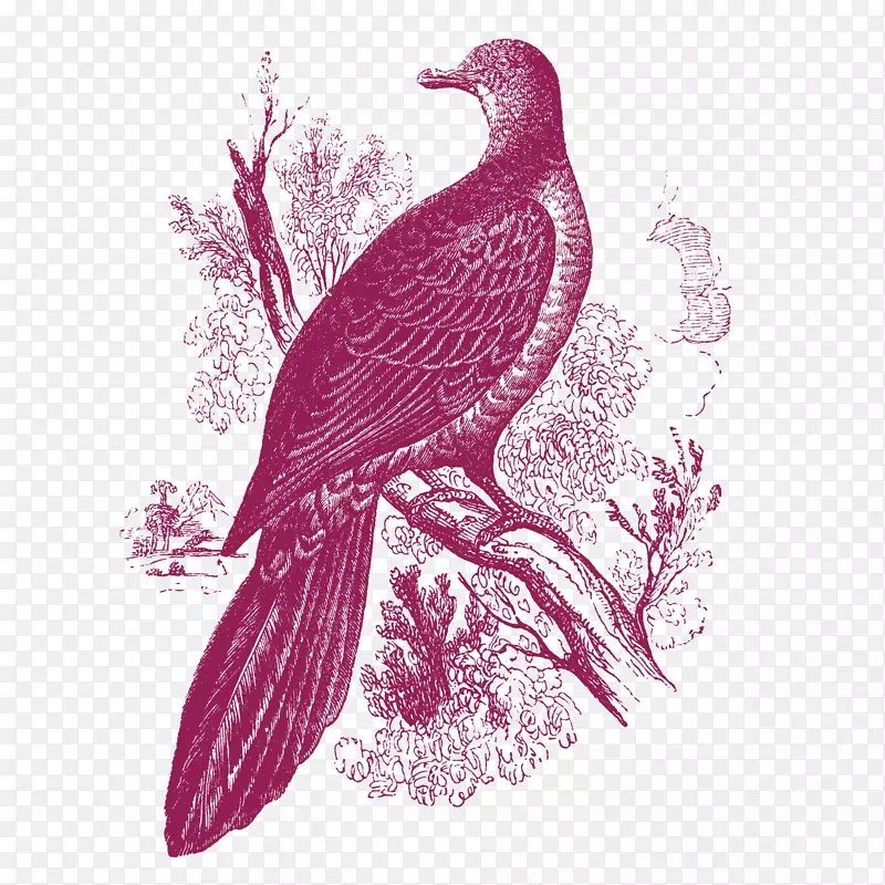 �ֻ�������������ز�-������