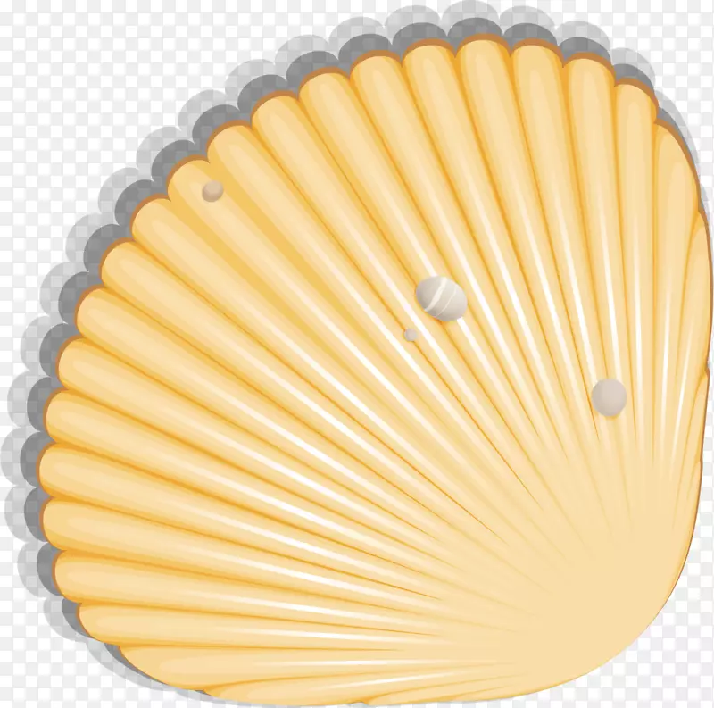 ���纣���ճ�ɫ����-������