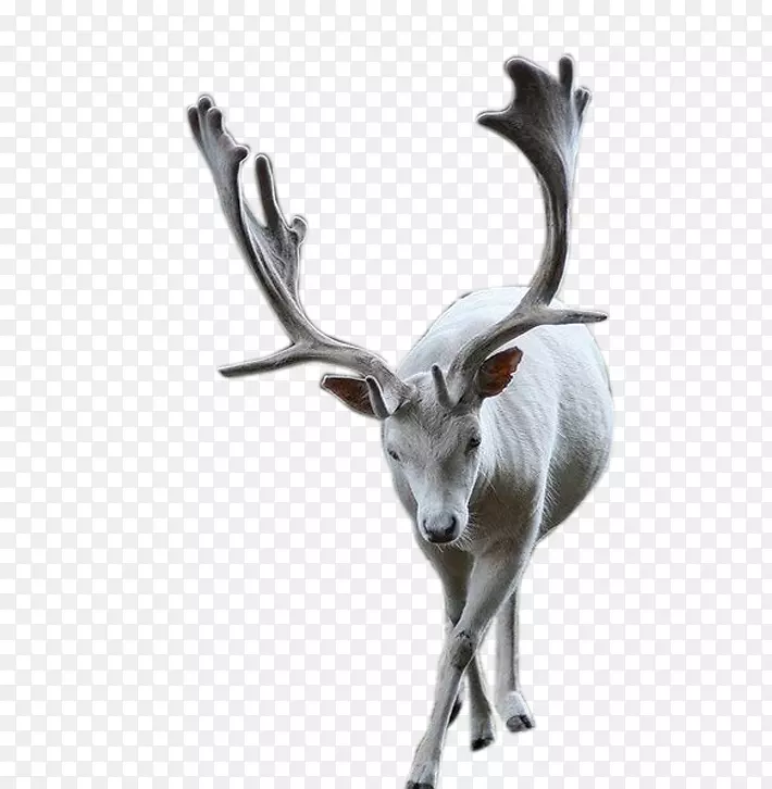 ��¹ʥ�����ز����-������