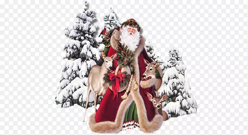 ʥ��������¹�ز����-������